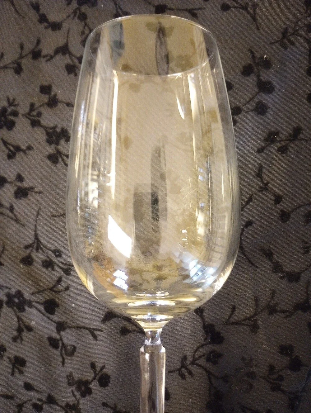 Schott Zwiesel Champagne Flutes